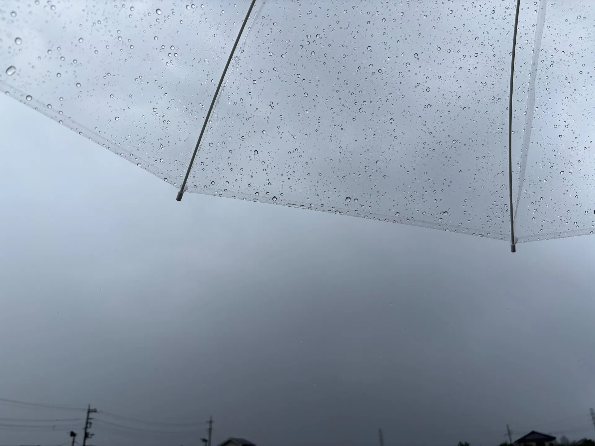 台風シーズン